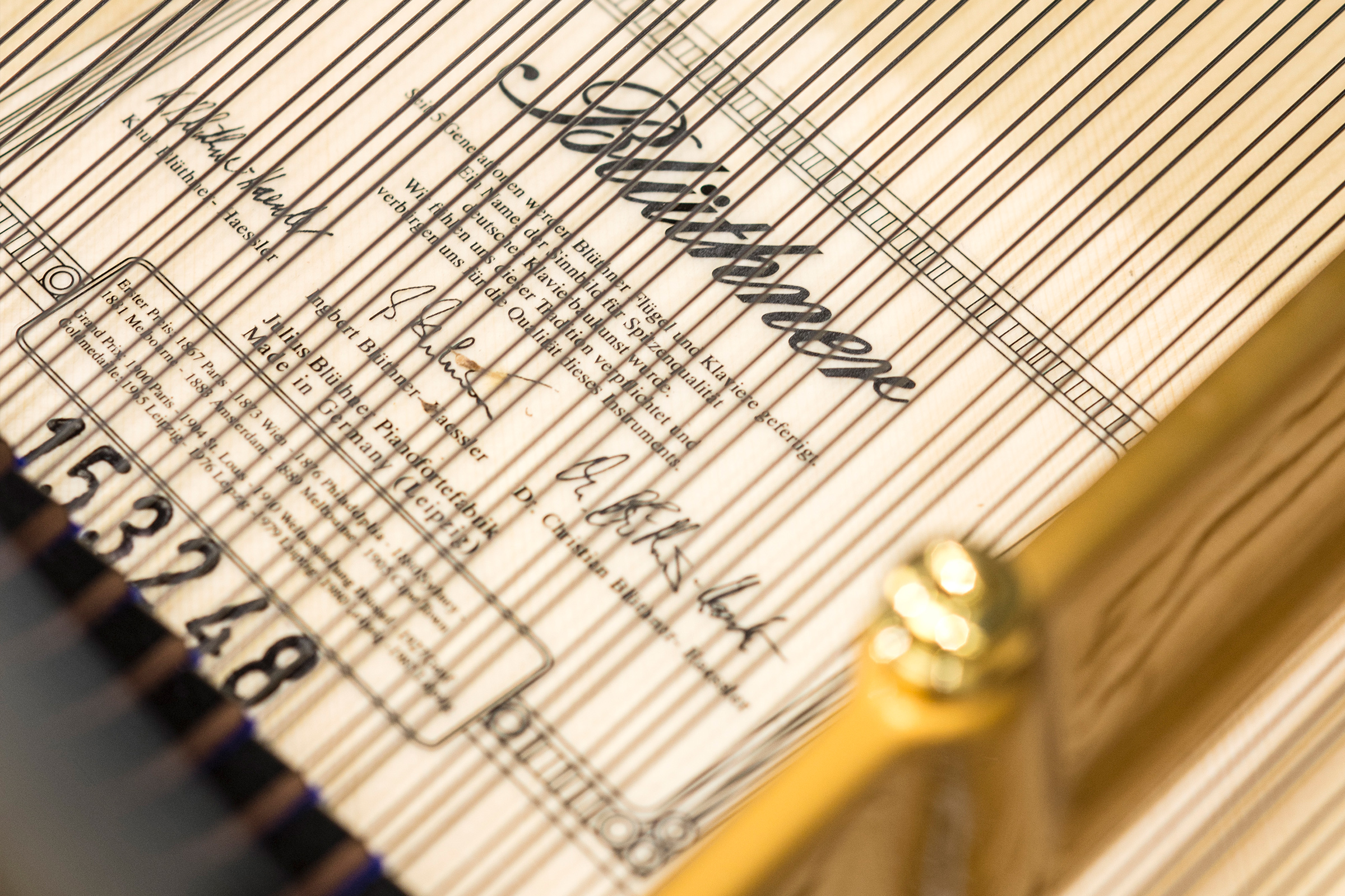 Bluthner Grand Pianos